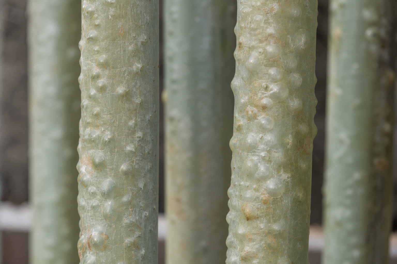 Fiberglass Rods with Osmotic Blistering