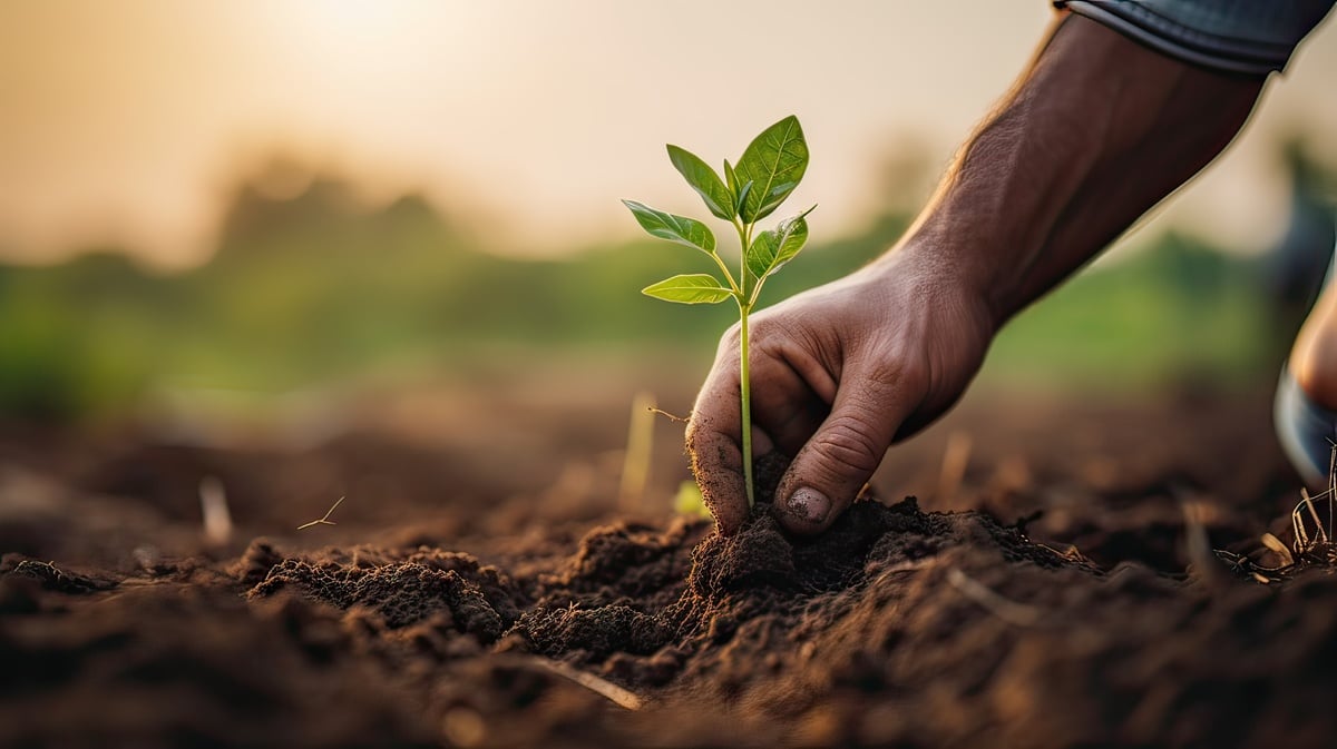 Pultruded Fiberglass in Agricultural Support Systems: Beyond Basic Tree Stakes