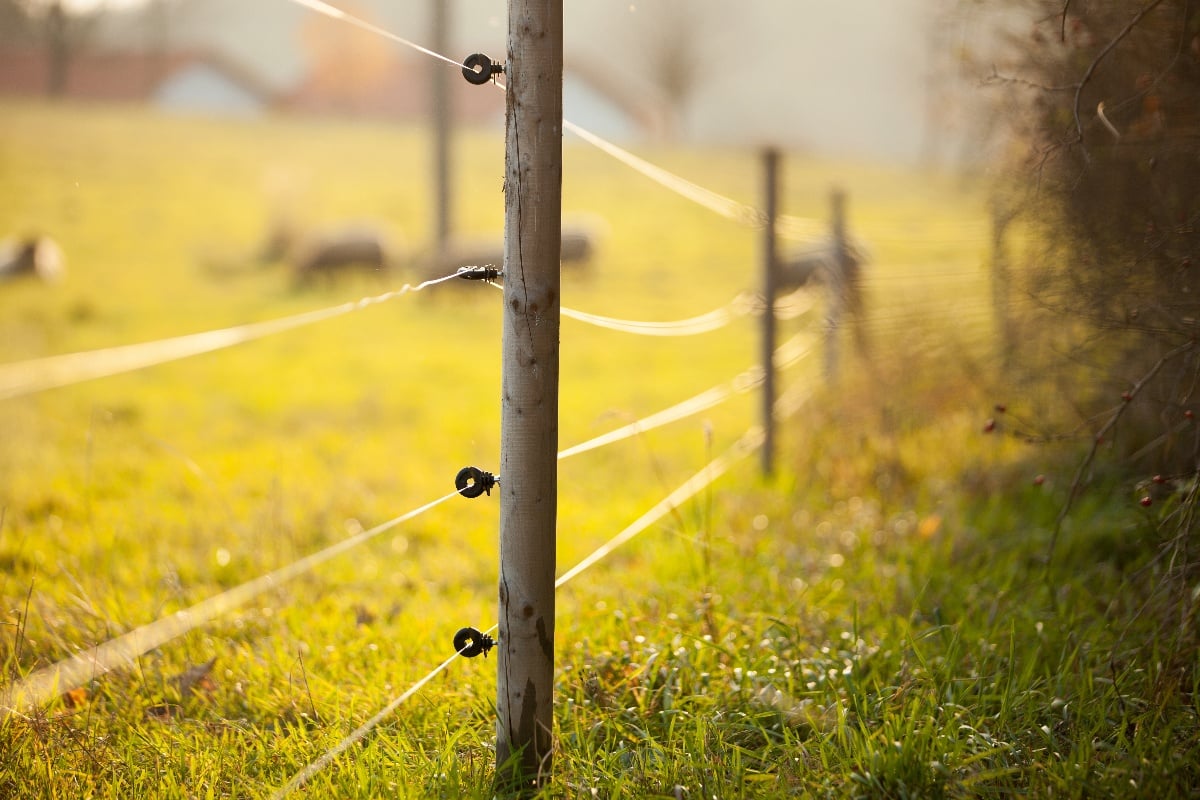 Exploring Electric Fences: Insights into FRP for Electric Fence Poles
